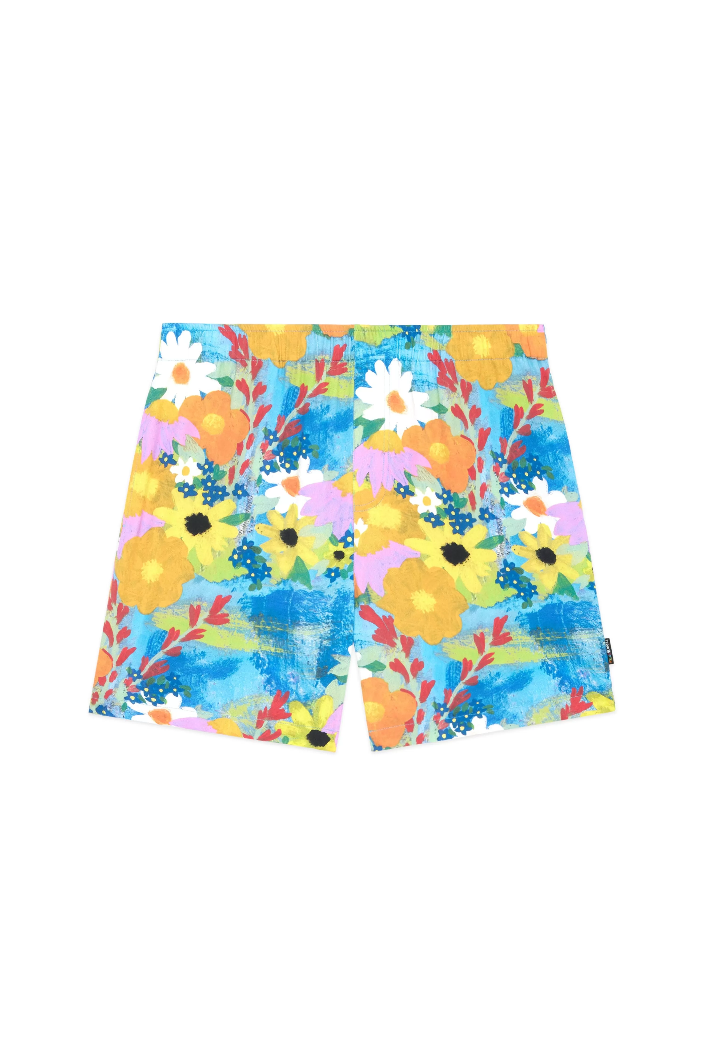 TF X Celia Landreth Shorts-Teddy Fresh Store